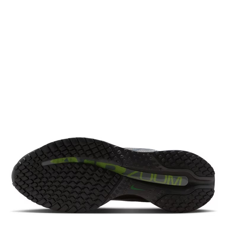 Nike Pegasus Premium 41 Gris & Vert