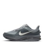 Nike Pegasus Premium 41 Gris
