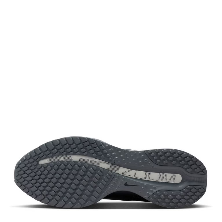 Nike Pegasus Premium 41 Gris