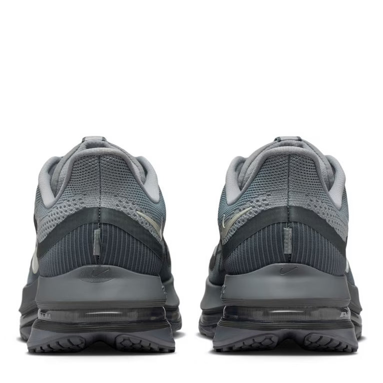 Nike Pegasus Premium 41 Gris