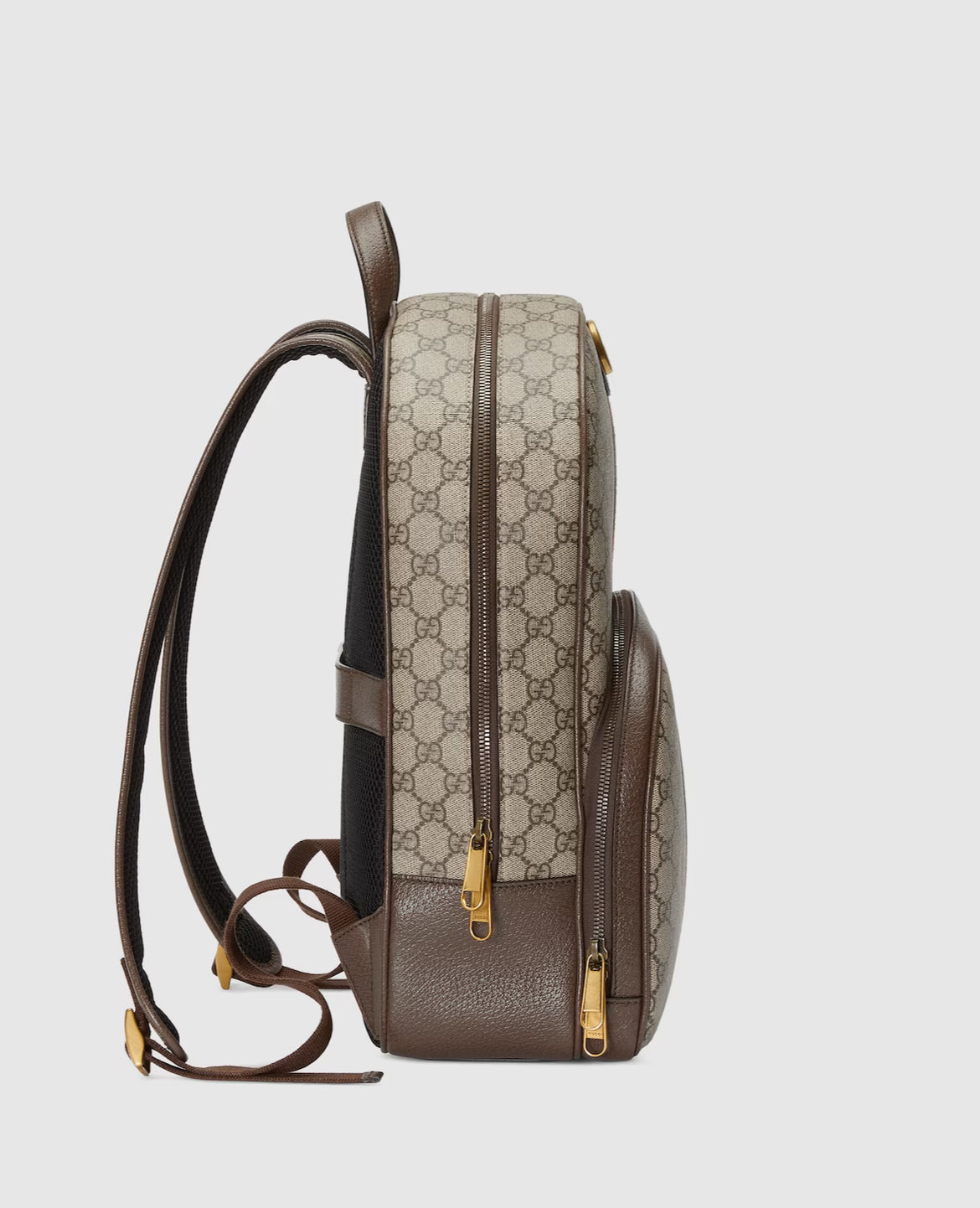 Sac à dos Ophidia moyen format - #3