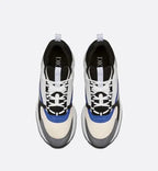 Dior B22 Bleu & Blanc Givré