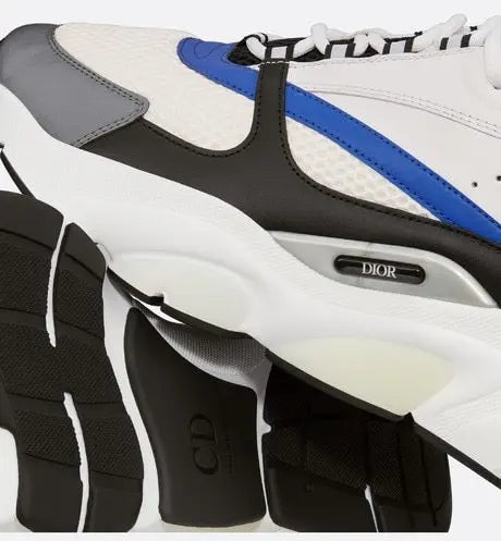 Dior B22 Bleu & Blanc Givré