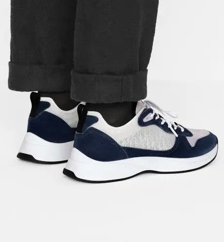 Dior B25